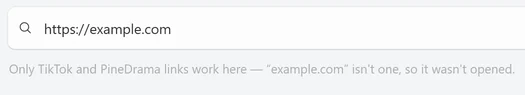 The Download box with https://example.com and, just under it, the message Only TikTok and PineDrama links work here — “example.com” isn’t one, so it wasn’t opened.